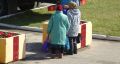 Пенсионный адвокат: как вернуть забытые годы стажа и справиться с Пенсионным фондом