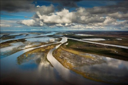 Право на нефинансовую карту «Морошку» получит еще одна категория ямальцев