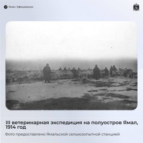 Службе ветеринарии Ямала 100 лет