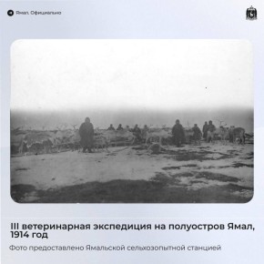 Ямальская служба ветеринарии отмечает столетний юбилей