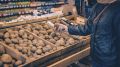 Странная история с уголовным делом: женщина получила 300 часов обязательных работ за забытый чек