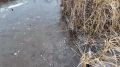 В Ноябрьске проверили водоёмы