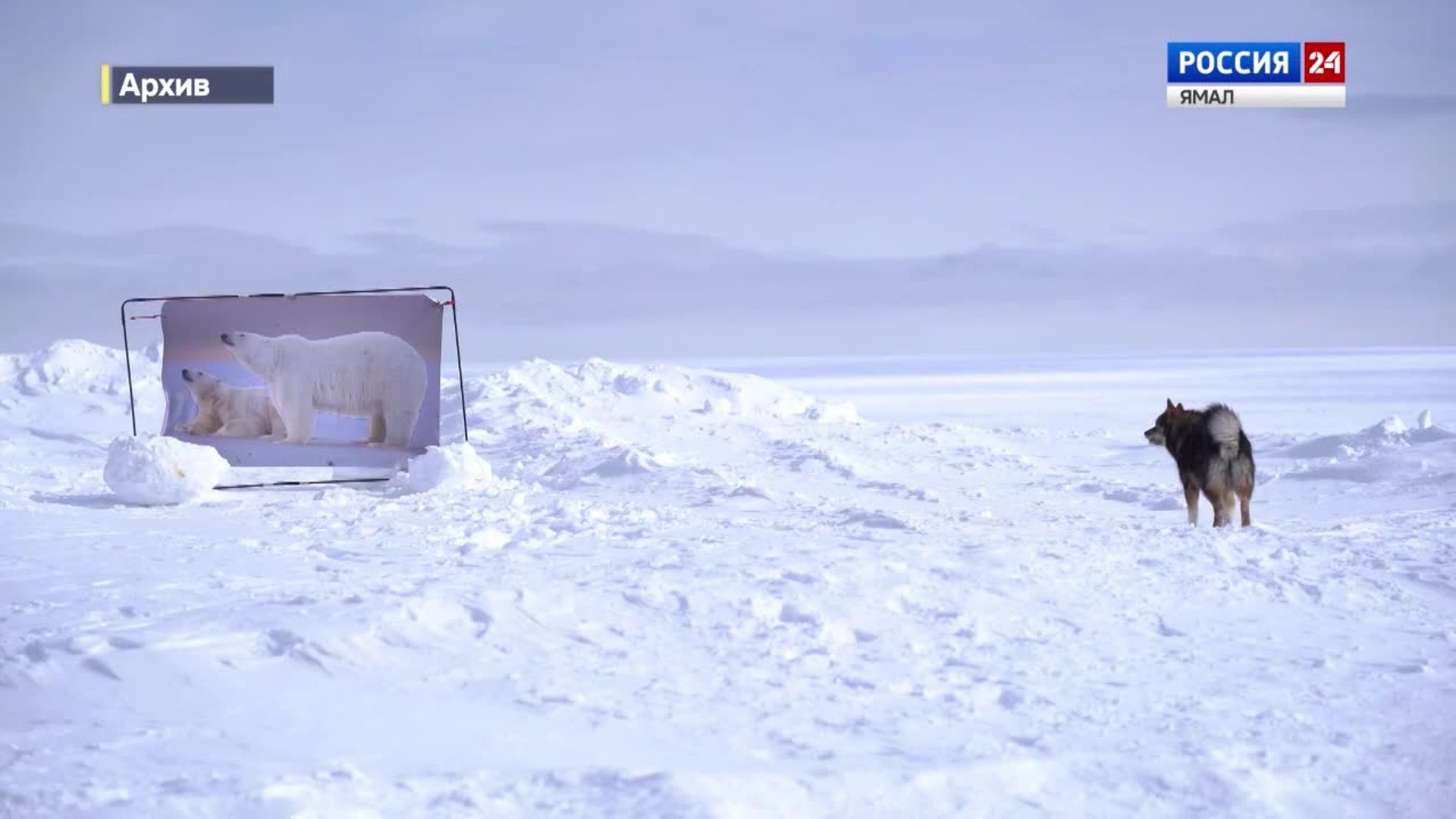 Она холодная, но у нее горячее сердце