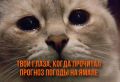 По данным синоптиков 27 октября на территории округа прогнозируются неблагоприятные погодные явления: ветер западный, северо-западный  8-13 м/с