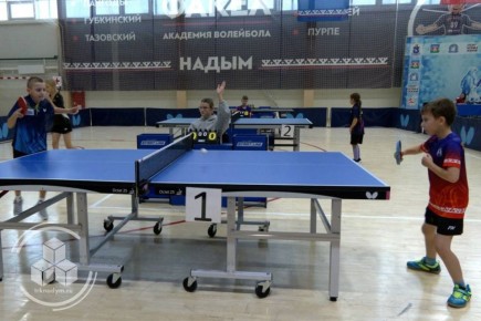 В спортивной школе «Арктика» прошли районные соревнования по настольному теннису