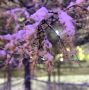 Из-за перепада температур на дорогах возможны снежный накат и гололёд