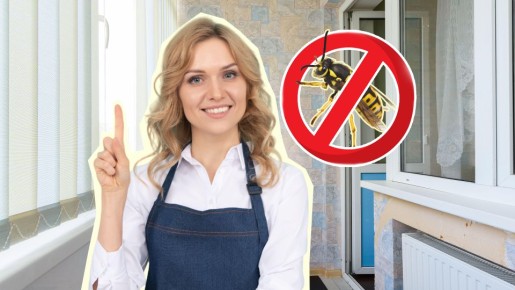 Осы на вашем балконе не задержатся: вот что отпугнет назойливых насекомых