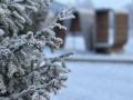 С добрым утром, Салехард. Температура днём от + 0 C° до + 2 C°, облачно , ветер 3-4 м/с