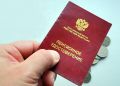 Работодатель не подал данные в СФР: как исправить отчетность и повысить размер пенсии
