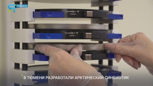 Эликсир здоровья из арктических растений