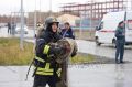 #СводкаМЧС. На Ямале за прошедшие сутки пожарно-спасательные подразделения МЧС России привлекались на ликвидацию пожаров 1 раз