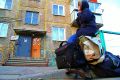 Мошенничество с недвижимостью: как квартиранты могут обмануть собственников