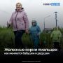 День бабушек и дедушек отмечается в России 28 октября