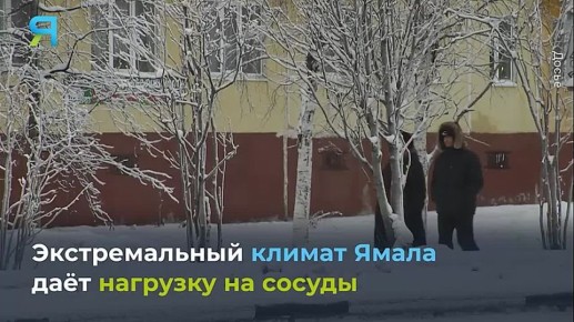 Арктический чек-ап: как сохранить здоровье на краю Земли