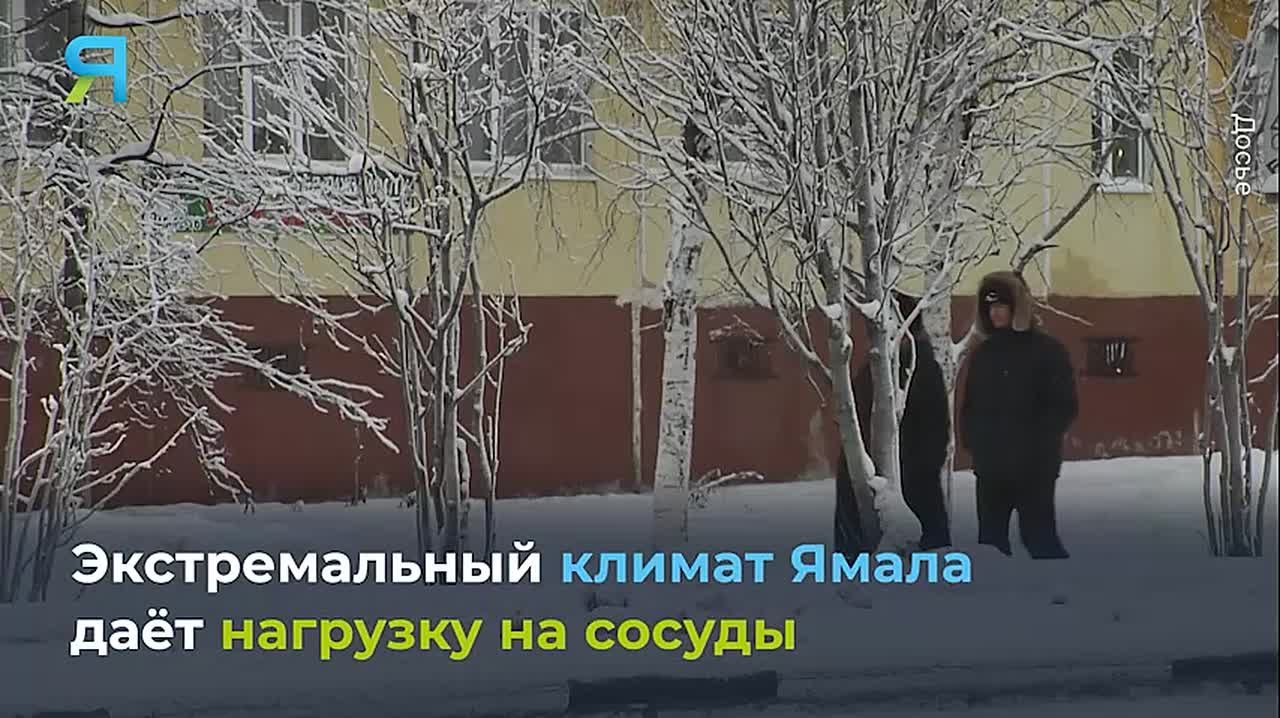 Арктический чек-ап: как сохранить здоровье на краю Земли