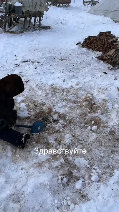 Суровый Север и тёплые сердца