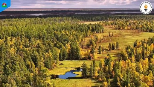 Заполярный – самый молодой в Надымском районе