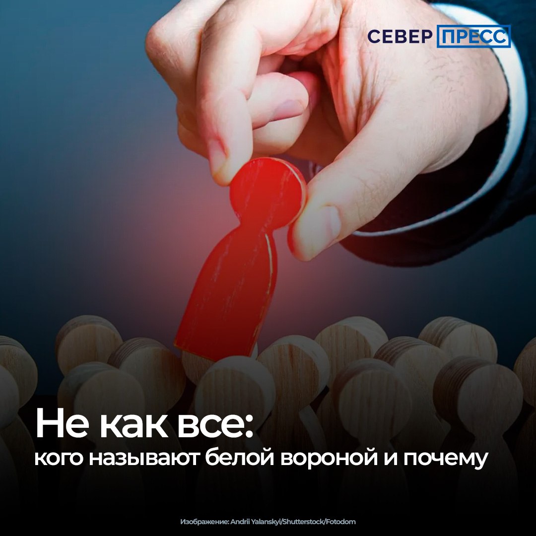 Быть белой вороной — клеймо изгоя или признак исключительности? В современной речи так называют людей, которые отличаются от остальных в хорошую или плохую сторону