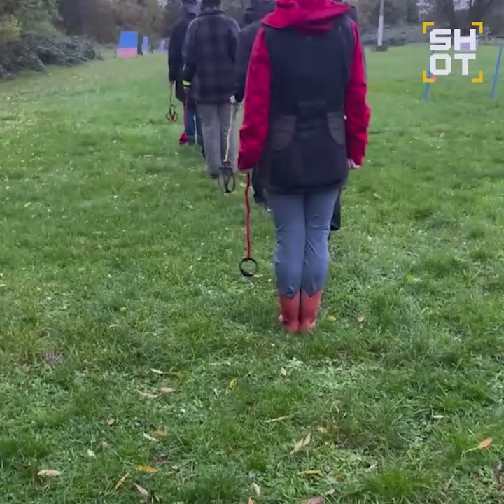 Хоббидогинг — новое увлечение, при котором люди выгуливают на поводке воображаемую собаку