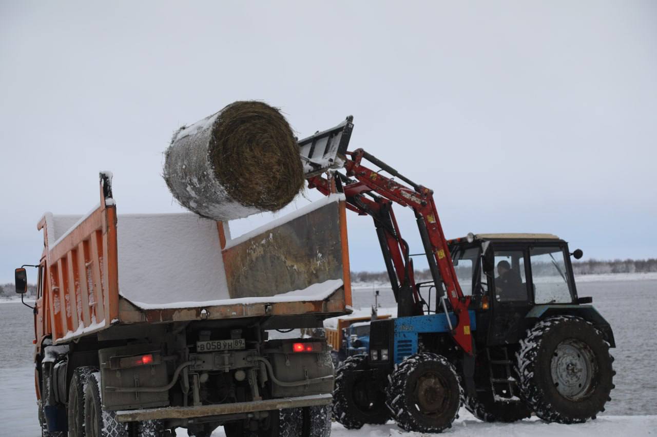 Бурёнки готовы к зиме. В хозяйстве «Мужевское» завершили подготовку к зиме — более 300 тонн питательных кормов уже на месте Бурёнки готовы к зиме. В хозяйстве «Мужевское» завершили подготовку к зиме — более 300 тонн питательных кормов уже на месте