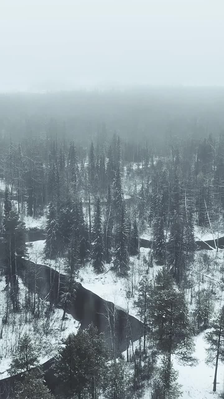 Отморошенные. Сага. Сияние