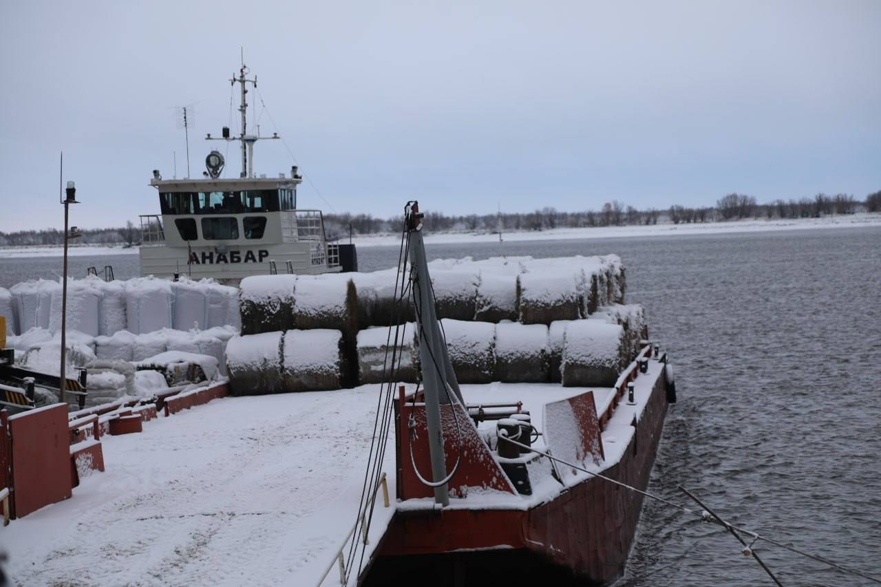 Бурёнки готовы к зиме. В хозяйстве «Мужевское» завершили подготовку к зиме — более 300 тонн питательных кормов уже на месте Бурёнки готовы к зиме. В хозяйстве «Мужевское» завершили подготовку к зиме — более 300 тонн питательных кормов уже на месте