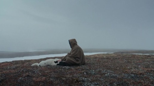 Основатель «Додо-пиццы» поделился тизером фильма о его путешествии в Арктику