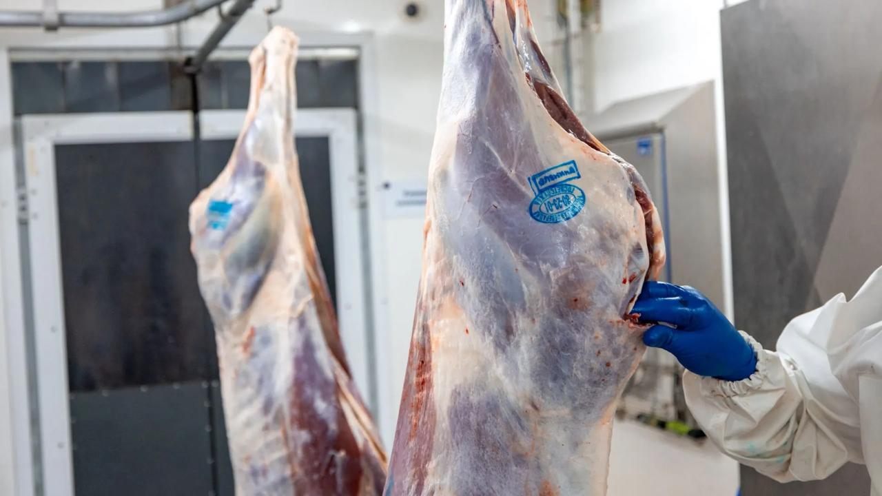 Ямальские производители бьют рекорды