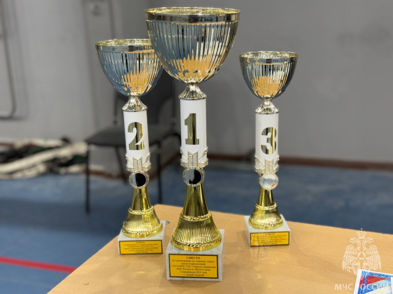 В Новом Уренгое прошли соревнования по гиревому спорту среди подразделений 3 пожарно-спасательного отряда В Новом Уренгое прошли соревнования по гиревому спорту среди подразделений 3 пожарно-спасательного отряда