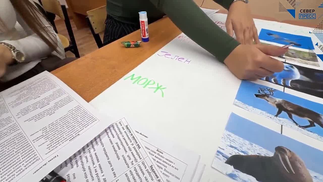 Ноябрьск принимает гостей из Сербии