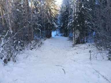 Детская шалость привела к трагедии в Горках