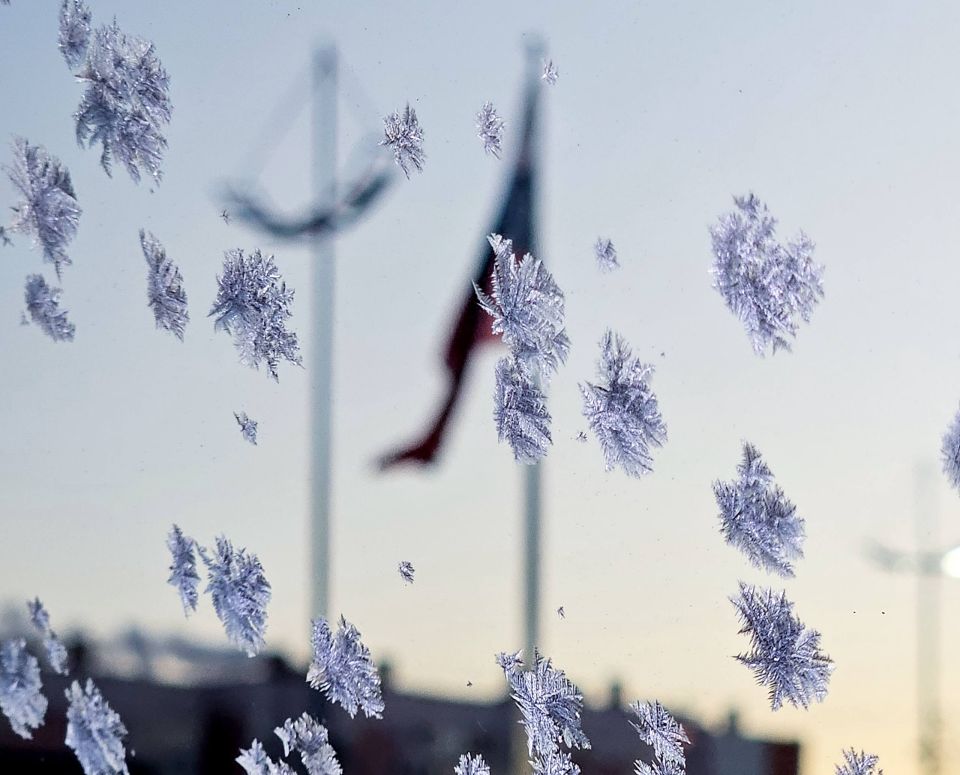 Мероприятия по Пушкинской карте в ноябре