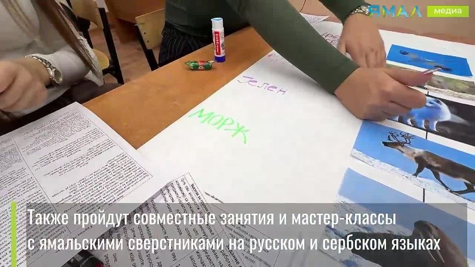 «Здраво!» по-ямальски: сербские школьники знакомятся с Ноябрьском