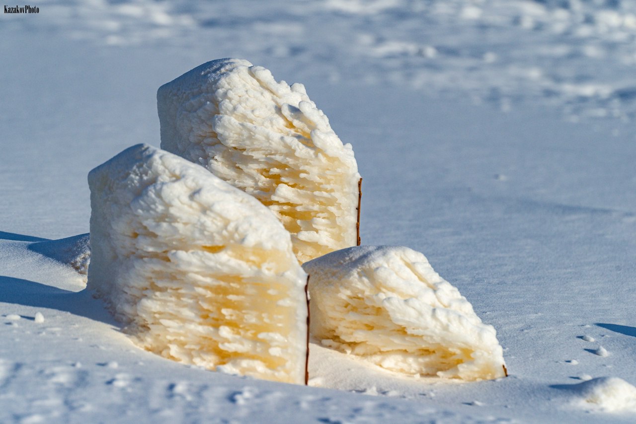 Природа творит чудеса: ледяные цветы на Ямале Природа творит чудеса: ледяные цветы на Ямале