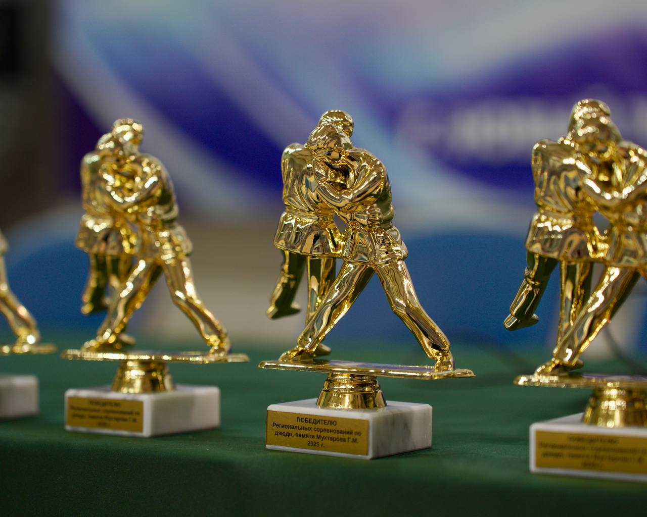 В Новом Уренгое назвали победителей и призеров регионального турнира по дзюдо В Новом Уренгое назвали победителей и призеров регионального турнира по дзюдо