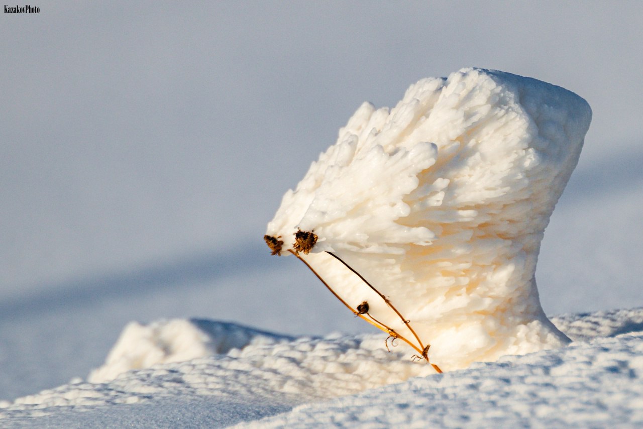 Природа творит чудеса: ледяные цветы на Ямале Природа творит чудеса: ледяные цветы на Ямале