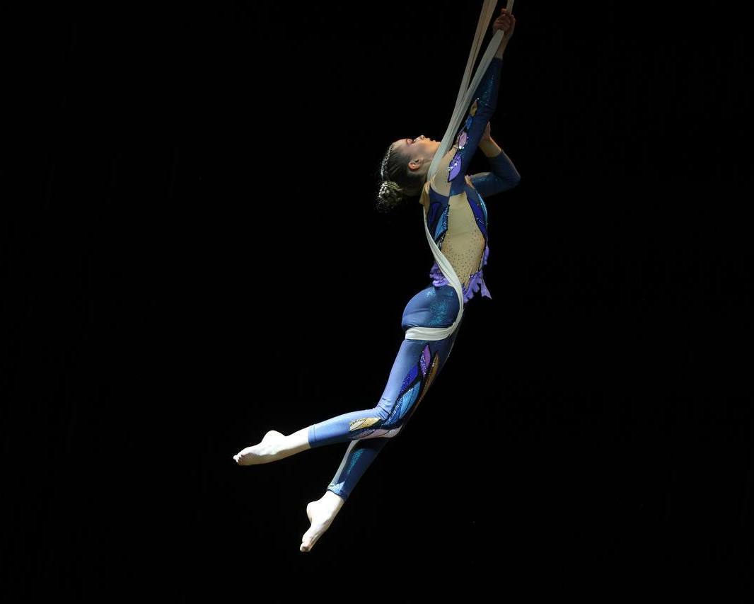 Сразу две награды завоевала ямальская спортсменка на фестивале воздушной гимнастики Сразу две награды завоевала ямальская спортсменка на фестивале воздушной гимнастики