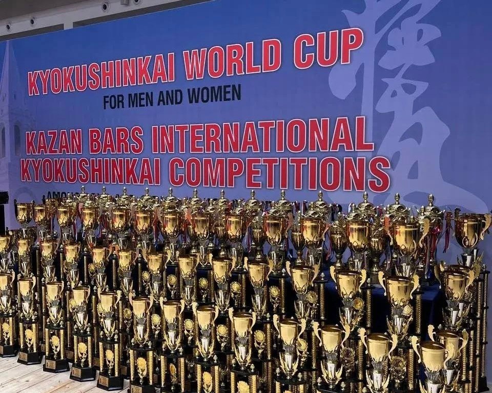 Ямальцы стали обладателями наград на международных соревнованиях по киокусинкай Ямальцы стали обладателями наград на международных соревнованиях по киокусинкай
