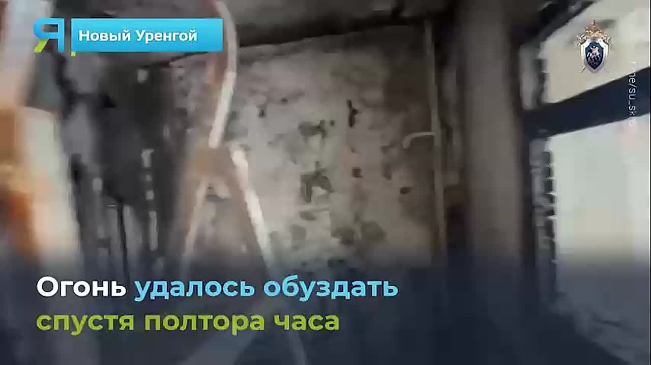 Новостной дайджест на «Ямал-Медиа»