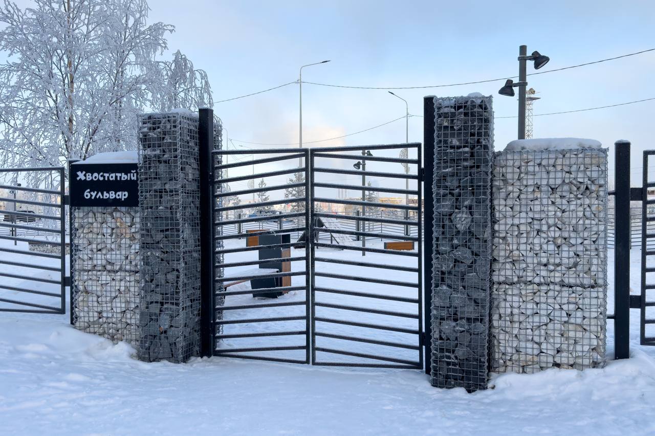 В Надыме открыли круглогодичную площадку для выгула и дрессировки животных В Надыме открыли круглогодичную площадку для выгула и дрессировки животных