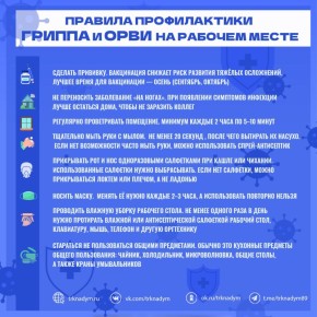 Профилактика гриппа и ОРВИ: рекомендации для трудовых коллективов