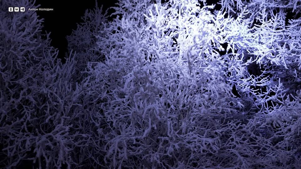 Антон Колодин: В Яха-парке уже почти все готово к встрече своих гостей