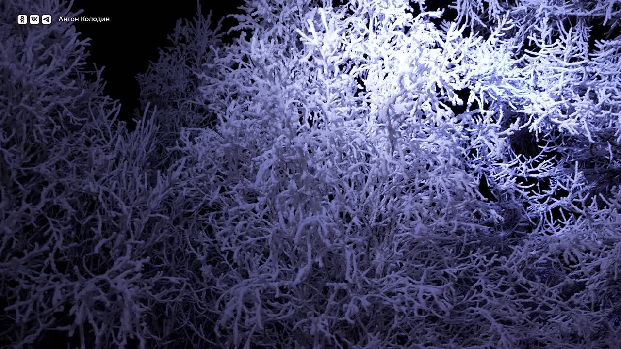 Антон Колодин: В Яха-парке уже почти все готово к встрече своих гостей