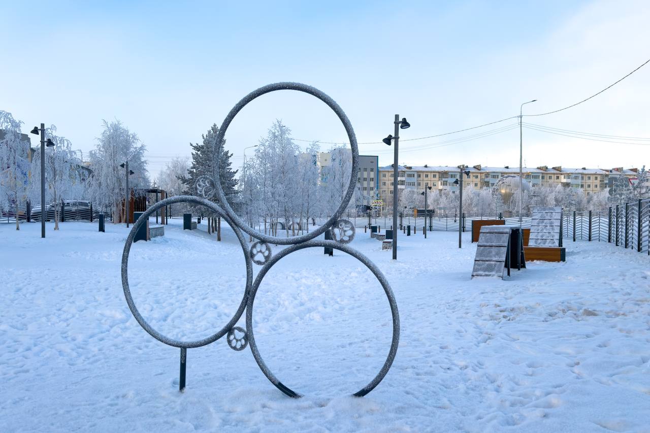 В Надыме открыли круглогодичную площадку для выгула и дрессировки животных В Надыме открыли круглогодичную площадку для выгула и дрессировки животных