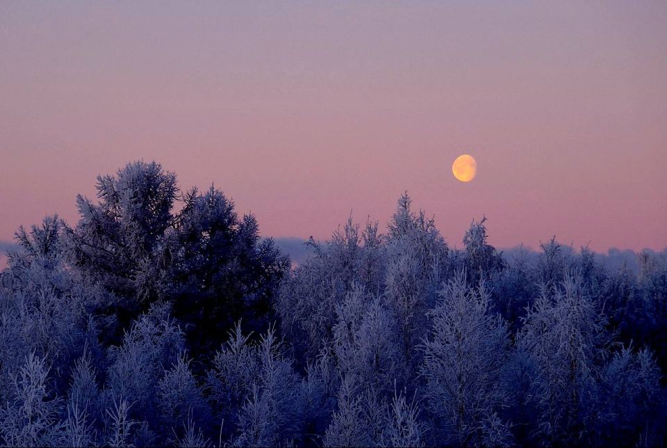 Вечер субботы — самое время отправиться на прогулку