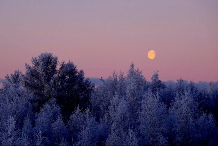 Вечер субботы — самое время отправиться на прогулку