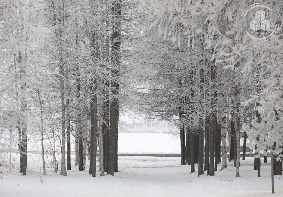 Ноябрь, спасибо за красоту вокруг!