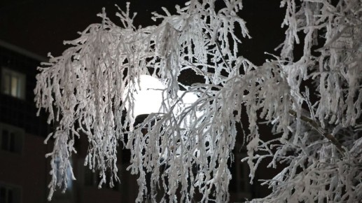 Снег придает особый шарм городскому стилю окружной столицы, согласны? Ставь за красоту вокруг нас