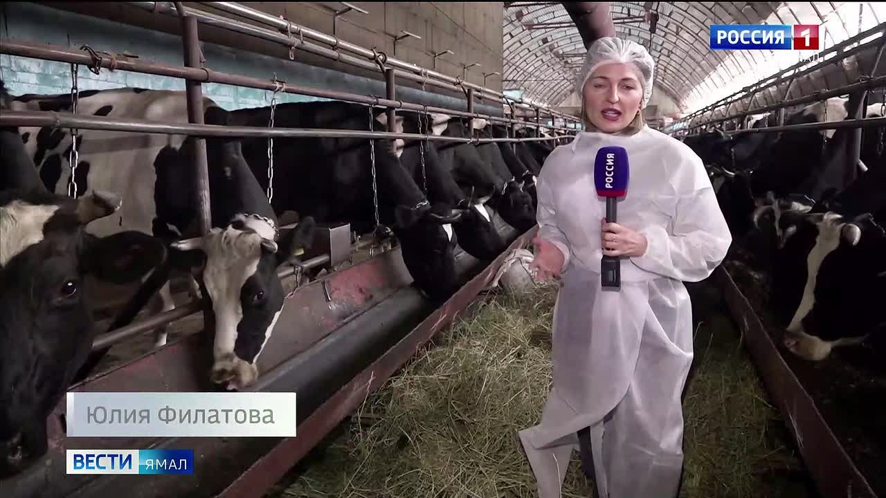 Ямал на «вкусном» пьедестале Урала