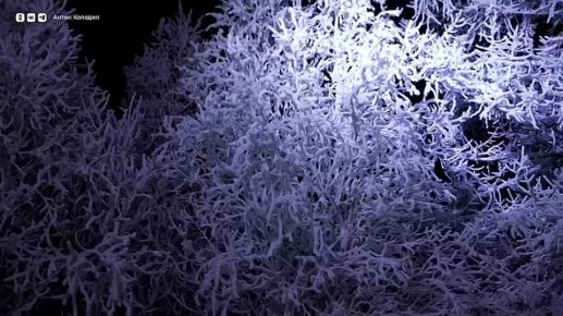 В Новом Уренгое завершаются работы по благоустройству Яха-парка